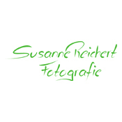 Logo/Portrait: Fotograf Susanne Reichert