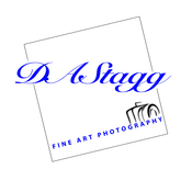 Logo/Portrait: Fotograf Desmond Stagg